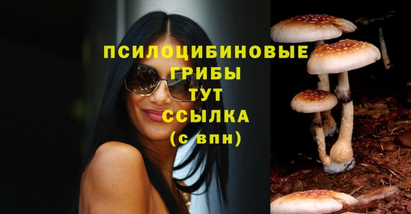 индика Белоозёрский