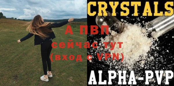 индика Белоозёрский