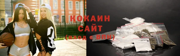 индика Белоозёрский