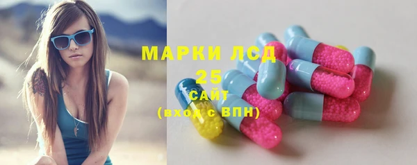 индика Белоозёрский