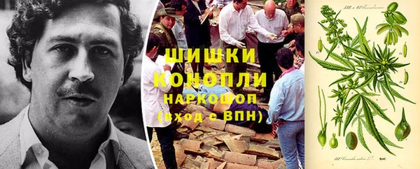 индика Белоозёрский