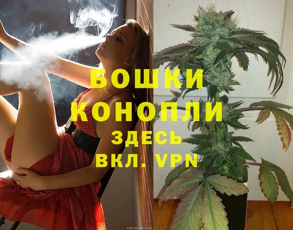 индика Белоозёрский