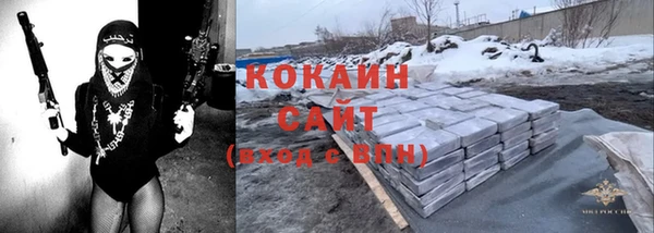 индика Белоозёрский