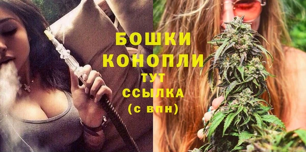 индика Белоозёрский